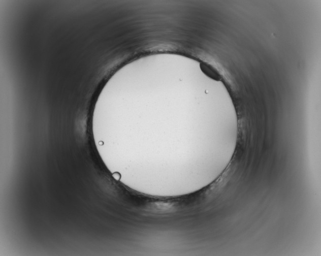 X0000096170159200802151442