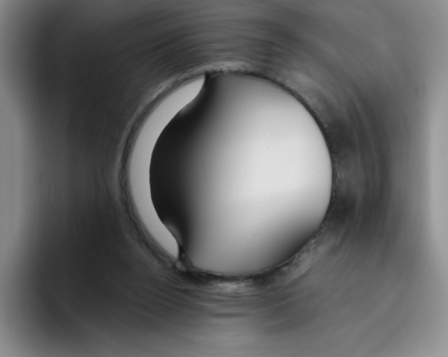 X0000096170160200802151442