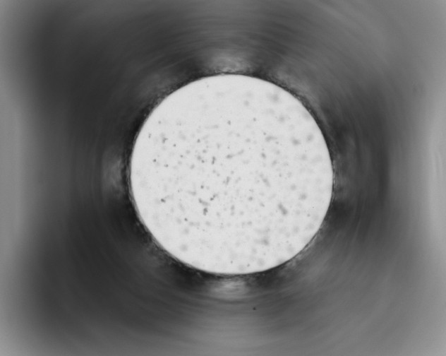 X0000096170162200802151442