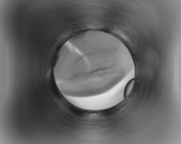 X0000096170163200802151442