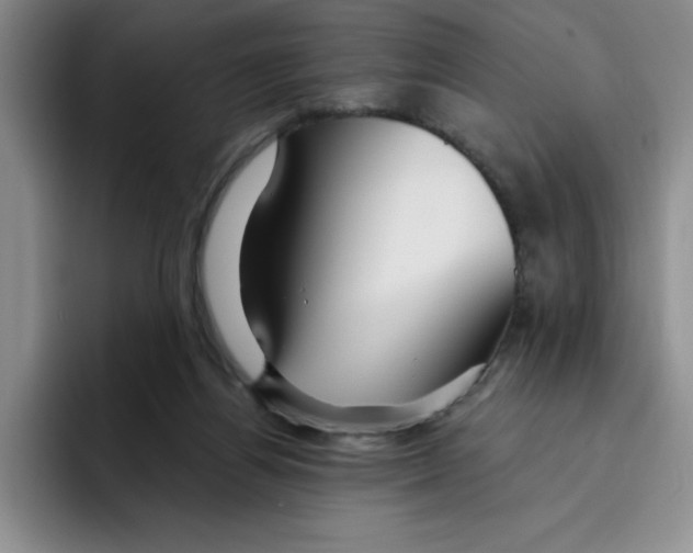 X0000096170164200802151442