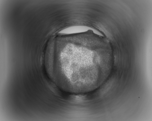 X0000096170165200802151442