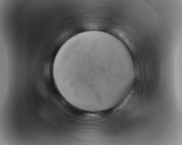 X0000096170167200802151442