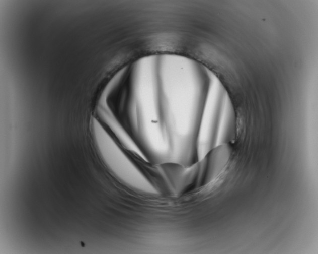 X0000096170168200802151442