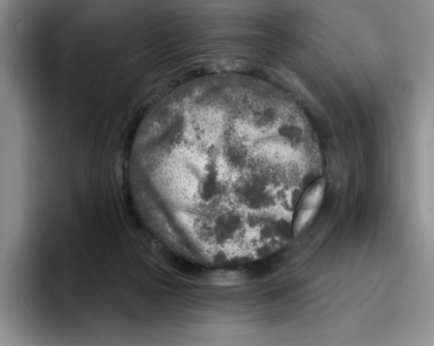 X0000096170169200802151442