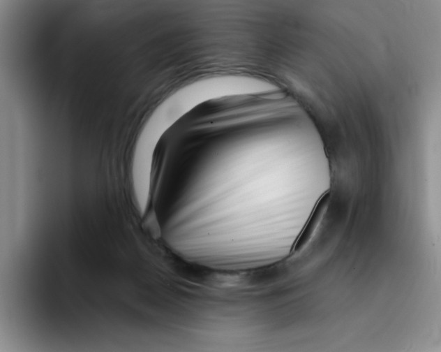 X0000096170170200802151442