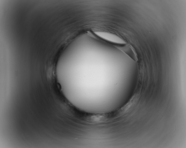 X0000096170172200802151442