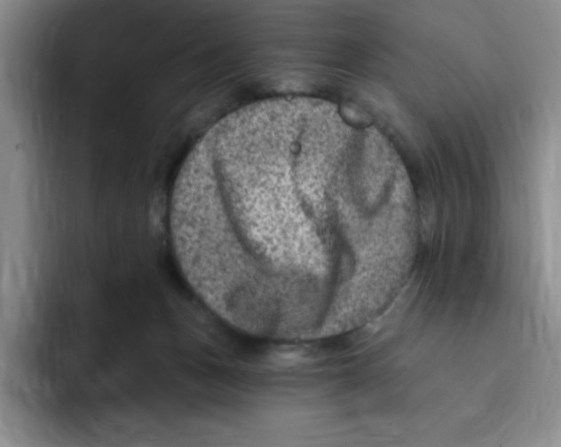X0000096170175200802151442