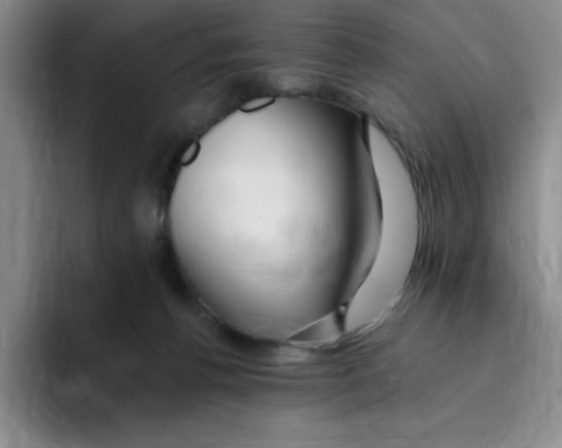 X0000096170176200802151442