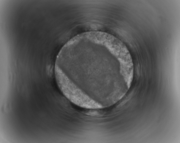X0000096170177200802151442