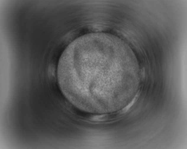 X0000096170178200802151442