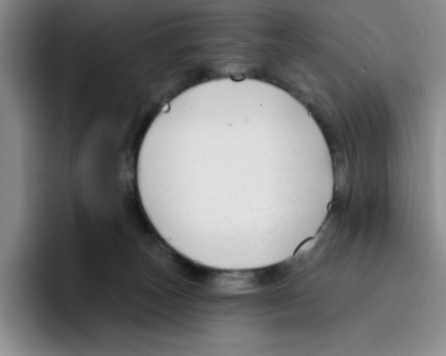 X0000096170179200802151442