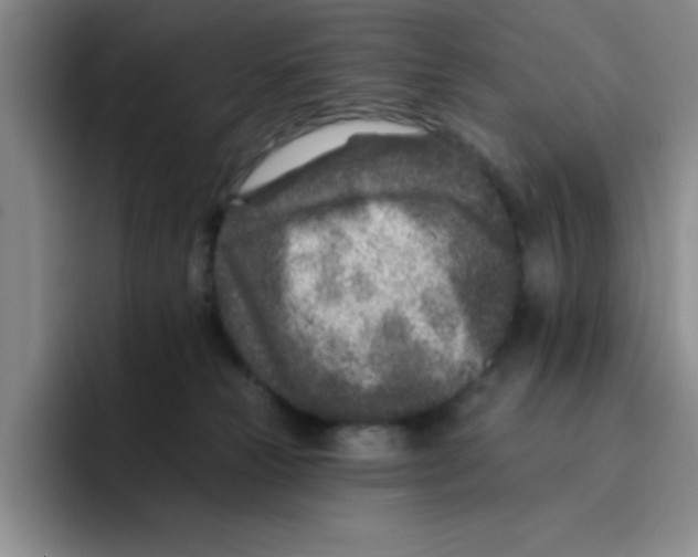X0000096170181200802151442