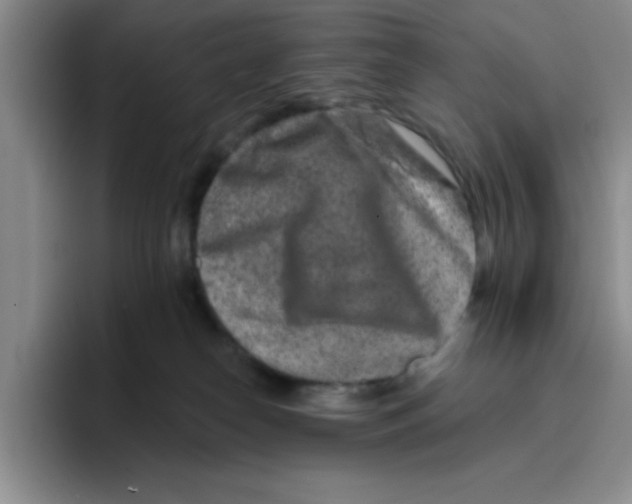 X0000096170182200802151442
