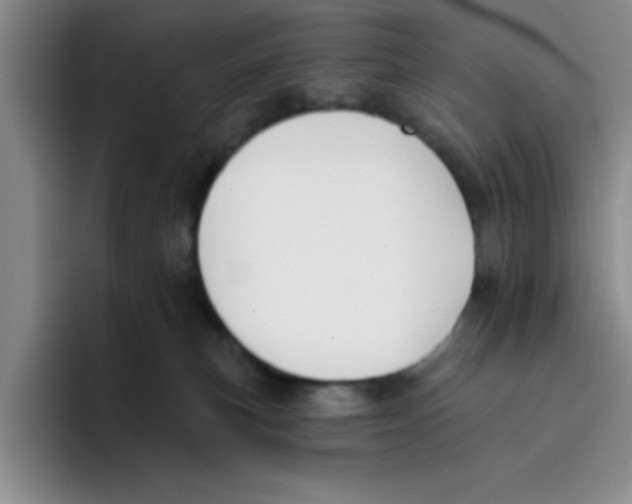 X0000096170183200802151442