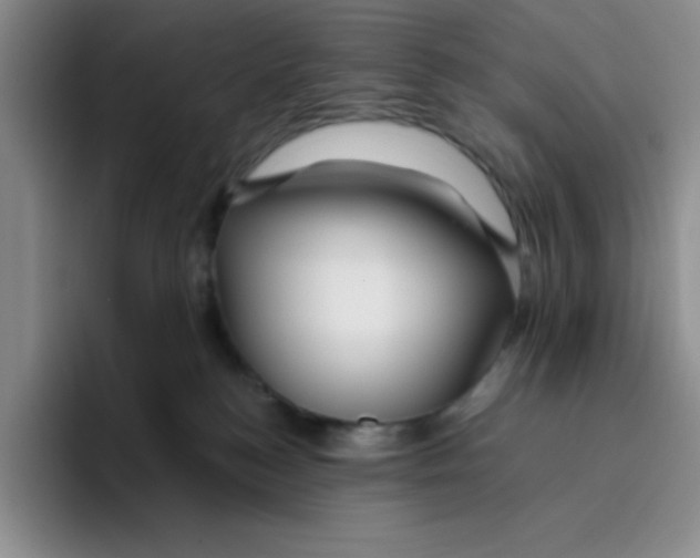 X0000096170184200802151442