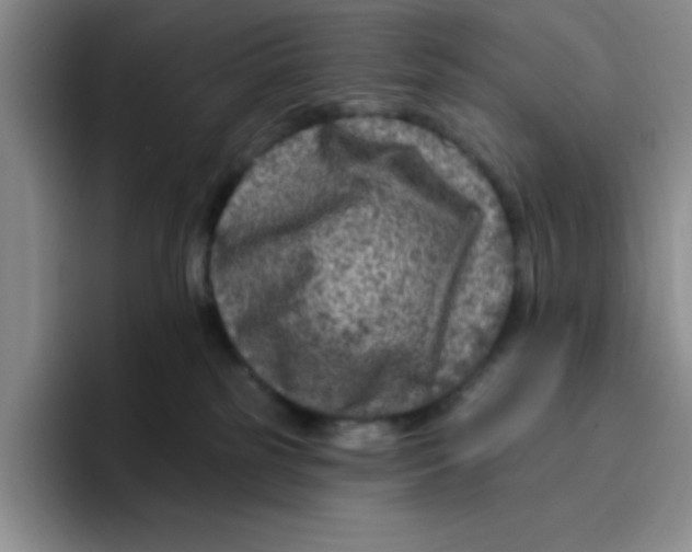 X0000096170185200802151442
