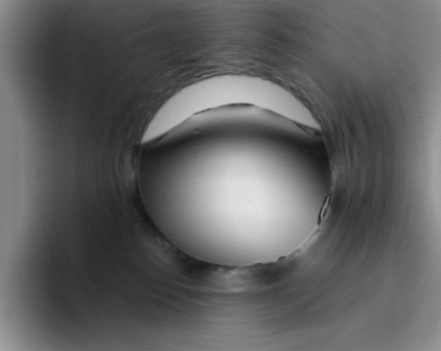 X0000096170186200802151442