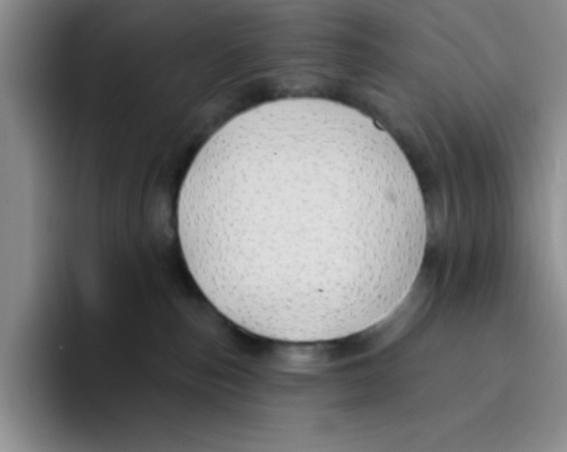 X0000096170187200802151442
