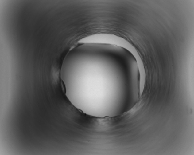 X0000096170188200802151442