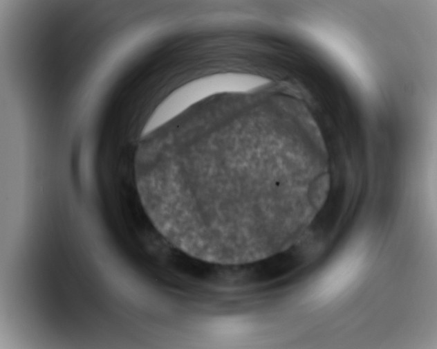 X0000096170189200802151442