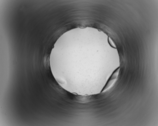 X0000096170191200802151442