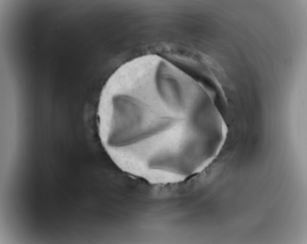 X0000096170192200802151442