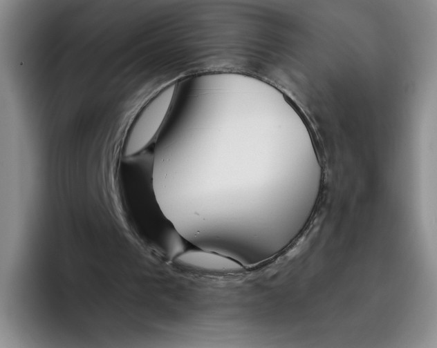 X0000096170193200802151441