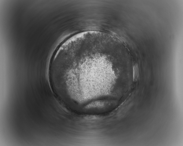 X0000096170195200802151441