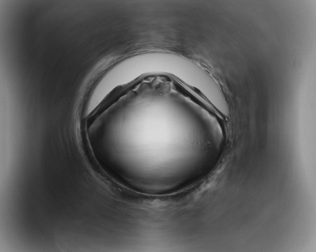 X0000096170197200802151441