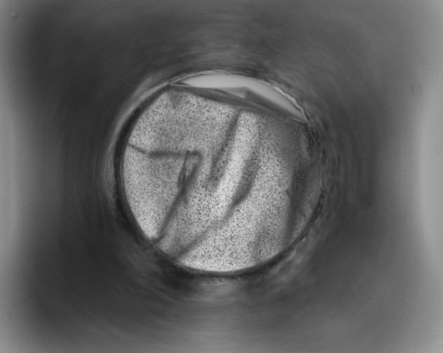 X0000096170198200802151441