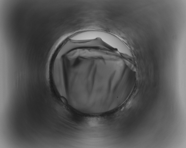 X0000096170200200802151441