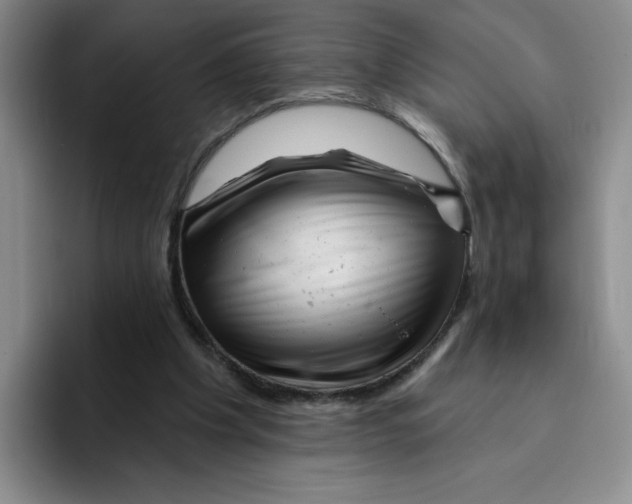 X0000096170201200802151441