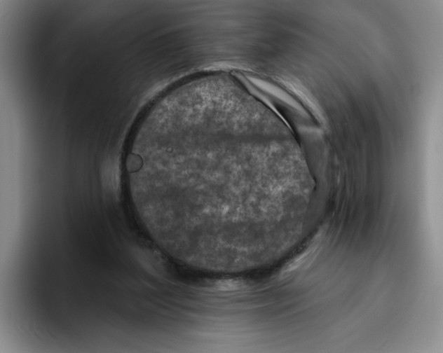 X0000096170204200802151441