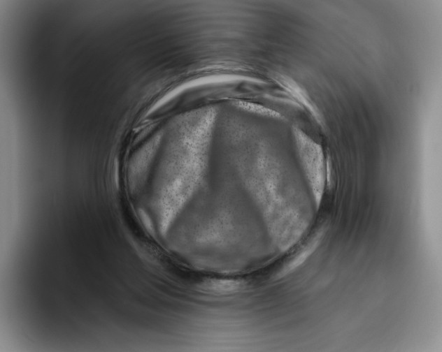 X0000096170205200802151441