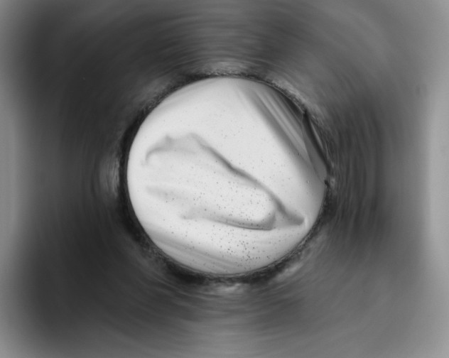 X0000096170206200802151441
