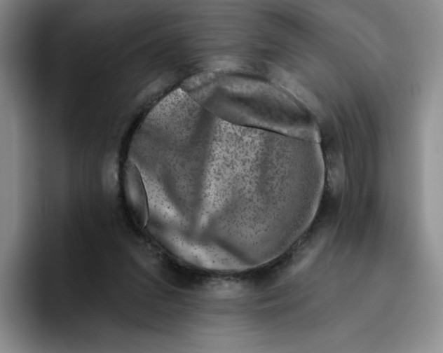 X0000096170207200802151441