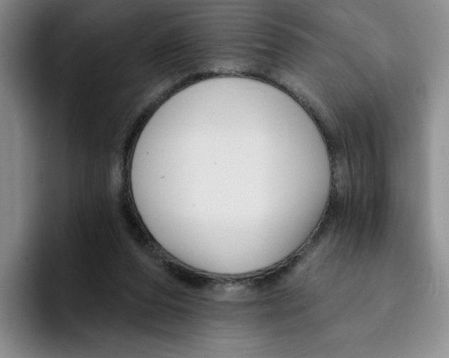 X0000096170208200802151441