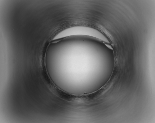 X0000096170209200802151441