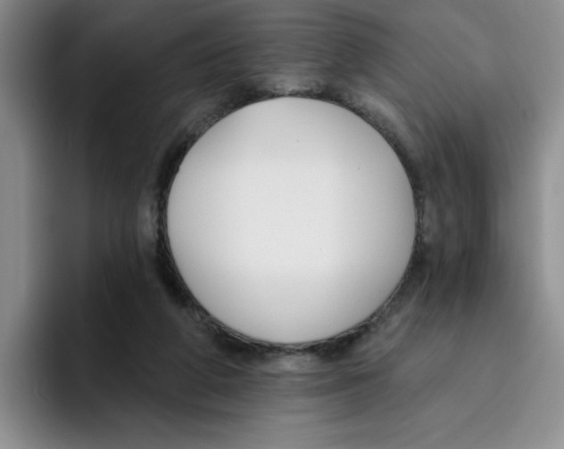 X0000096170210200802151441