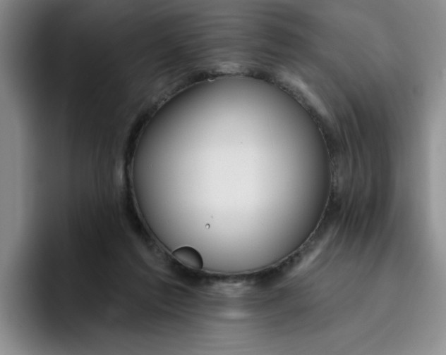 X0000096170213200802151441