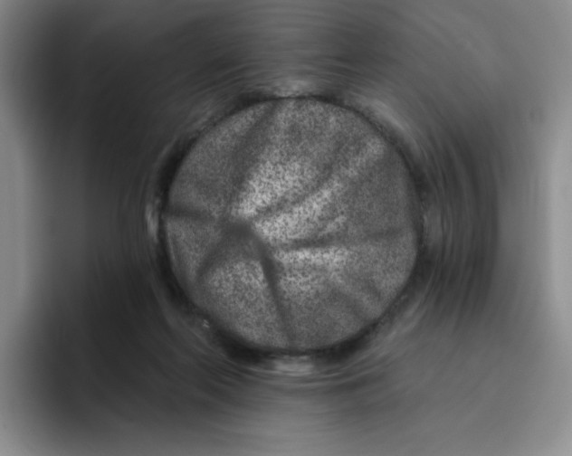 X0000096170214200802151441