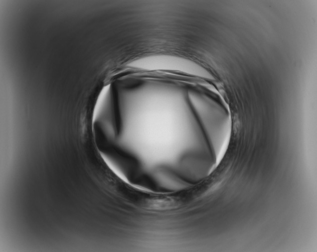 X0000096170215200802151441