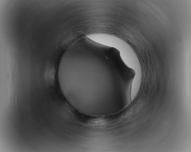 X0000096170219200802151441