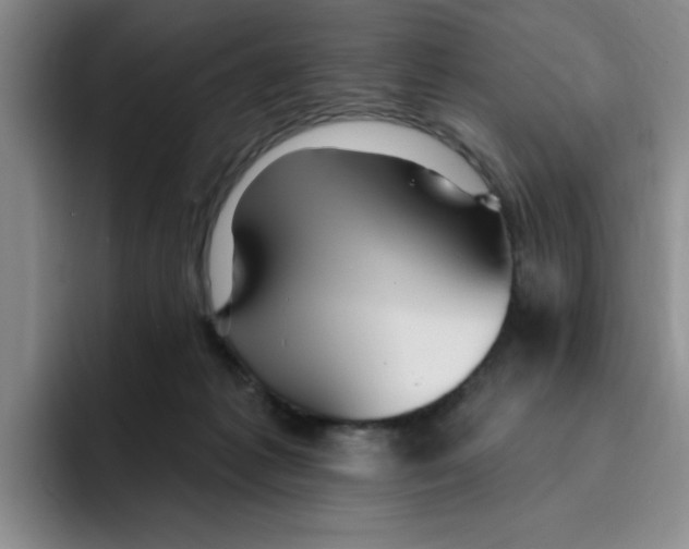 X0000096170221200802151441