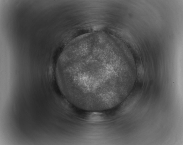 X0000096170222200802151441