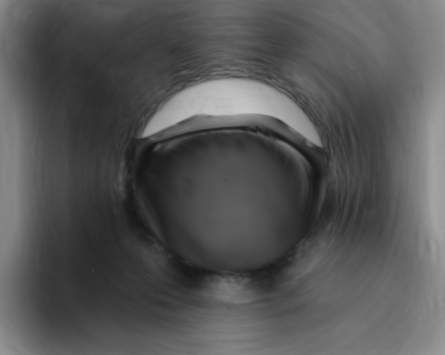 X0000096170223200802151441