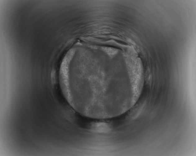 X0000096170224200802151441