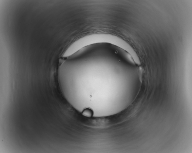 X0000096170225200802151441