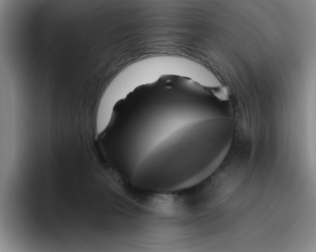 X0000096170227200802151441